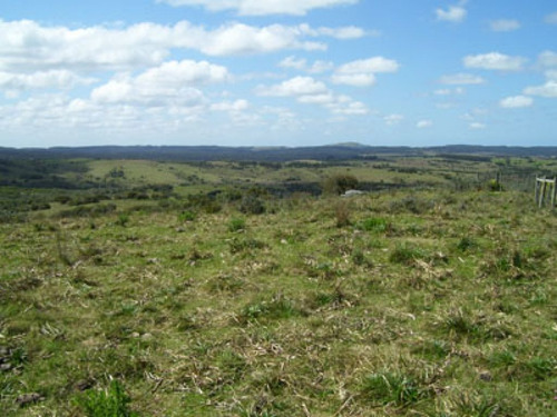 Campo En Garzón En Maldonado