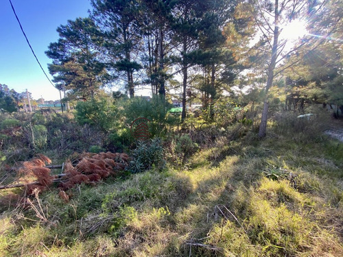 Imagen 2 de 4 de Terreno En Jardines De Córdoba Punta Del Este - Punta Del Este Jardines De Cordoba