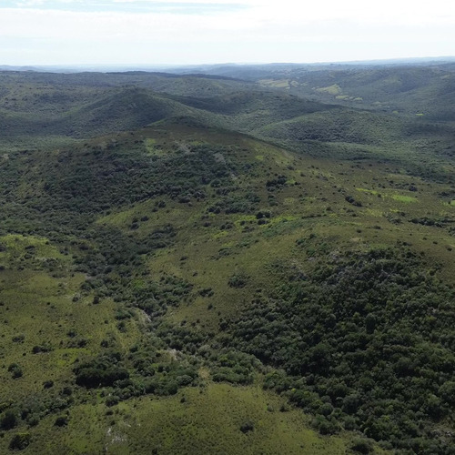 9 Chacras Zona Aiguá Entre Sierras 86 Hás De Arroyos Y Cascadas Naturales