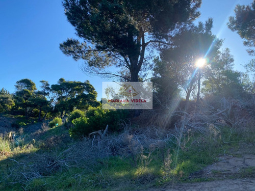 Terreno En Venta En North Beach, Barrio Santa Monica. Oportunidad!