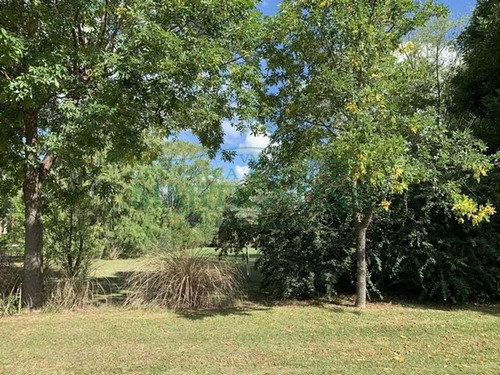 Imagen 3 de 10 de Terreno Venta Club De Campo San Francisco Manzanares Pilar