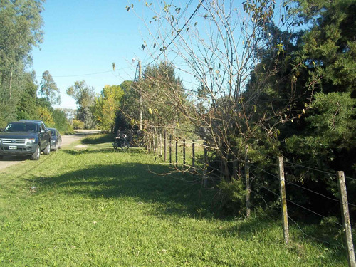 Imagen 9 de 13 de Lote En San Miguel Del Monte