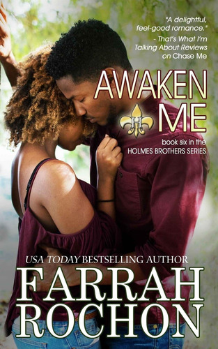Libro:  Awaken Me (the Holmes Brothers)
