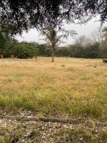 Imagen 2 de 3 de Lote En Venta - La Florida - Zarate