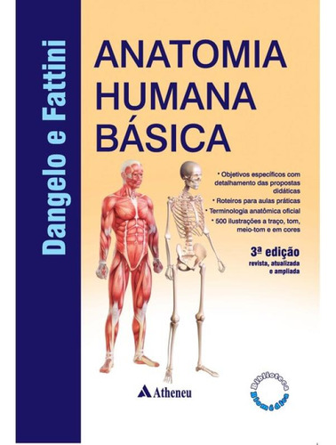 Anatomia Humana Básica