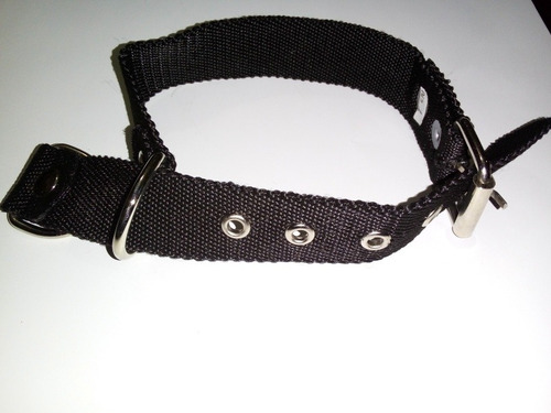 Collar Y Ahorque Perro 2 En 1 N°1