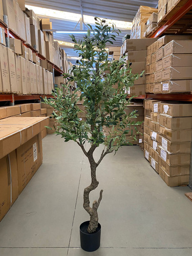 Oliveira Artificial Grande Para Decoração Sala Árvore 180cm Cor Verde