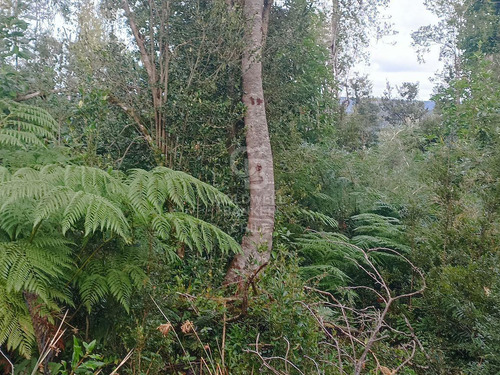 Parcela De 5000m2, Con Rol Propio D1, En Carretera Austral