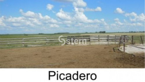 Venta Campo En Puntas De Maciel, Florida- Ref: 1640