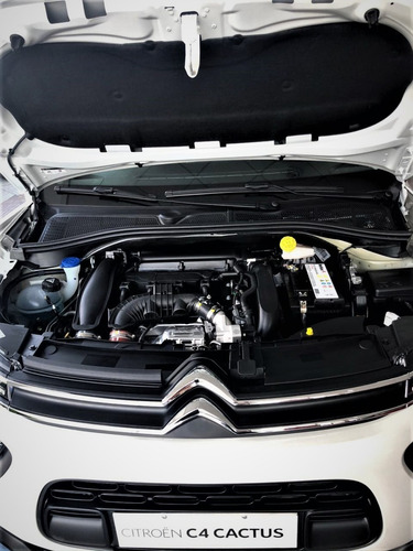 C4 Cactus Thp 165 Eat6 Shine Am21