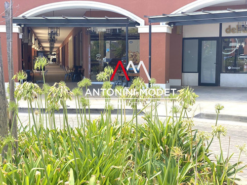 Imagen 4 de 12 de Departamento En Venta En Pueblo Caamaño