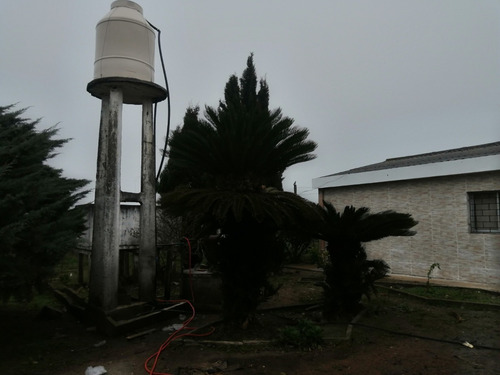 Imagen 5 de 20 de Chacra 4.5 Has Con 2 Casa En Venta - Ruta 66 Km 24 200 Toledo Chico