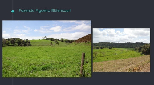 Imagem 6 de 6 de Fazenda - Fa00001 - 69012641