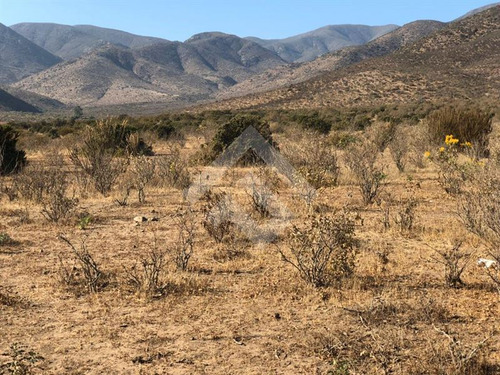 Agrícola En Venta En Andacollo