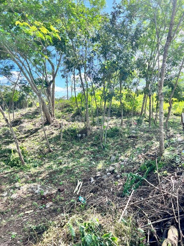 Terrenos De Inversión En Yucatán, Valladolid, México