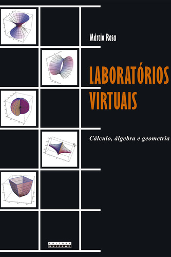 Laboratórios Virtuais: Cálculo, Álgebra E Geometria, De Márcio, Rosa. Editora Unicamp, Capa Mole Em Português