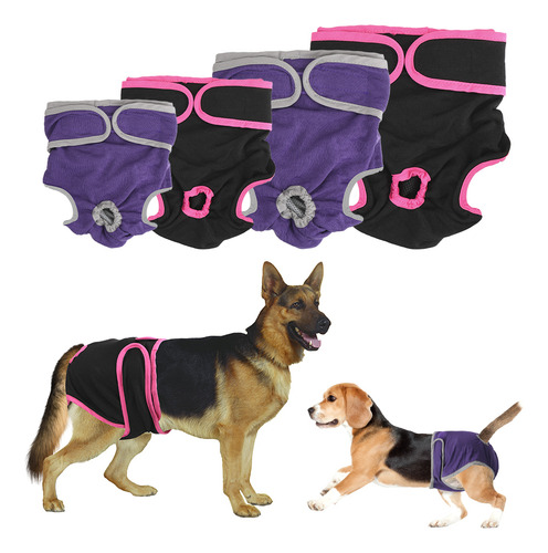 Pantalones Cortos For Perros Hembra Productos For Mascotas