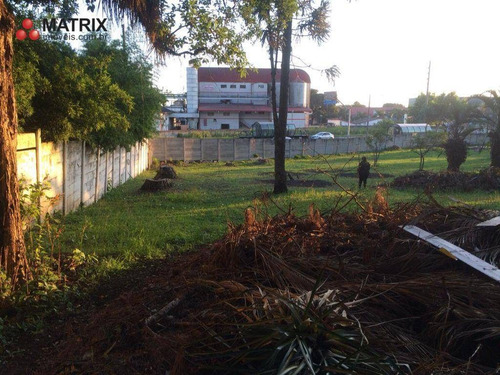 Imagem 5 de 5 de Terreno À Venda, 6000 M² Por R$ 11.000.000,00 - Jardim Pinhais - Pinhais/pr - Te1047
