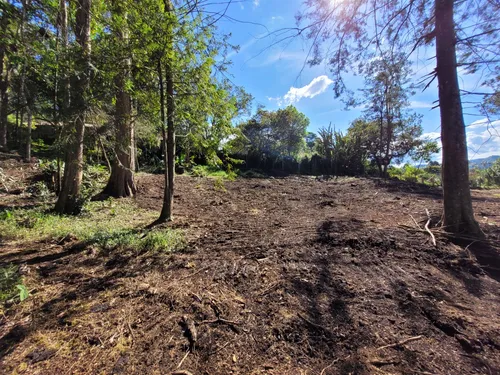 Lote En Venta, V. Llanogrande, Rionegro