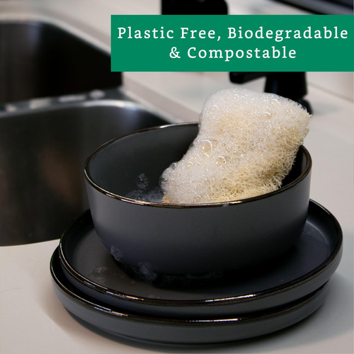Esponjas Lufa Naturales Xl 10 Unidades Platos Ecológicos