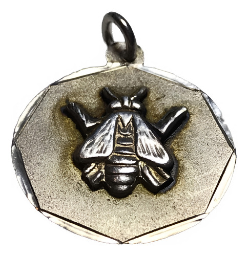 Medalla Plata 925 Abeja Maestra 20 Mm Redonda Y Cadena 40 Cm