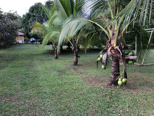Imagen 23 de 30 de Preciosa Quinta-finca En Labrador De San Mateo De Alajuela, Todos Los Servicios