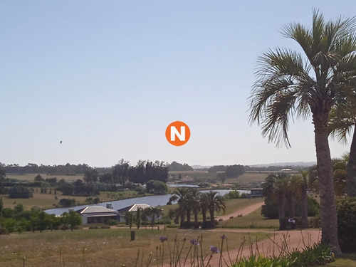 Imagen 13 de 21 de Oportunidad!!! Lote En Pueblo Mio De 5.000 M2-ref:217260