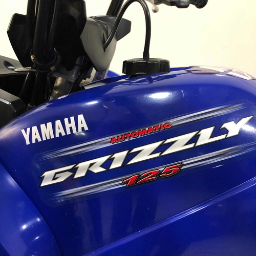 Imagen 3 de 15 de Cuatriciclo Yamaha Grizzly 125 Usado Financiacion Creditos