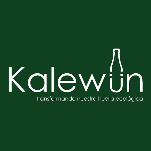 Set De 4 Vasos Grabados Y Pulidos A Mano Kalewun.