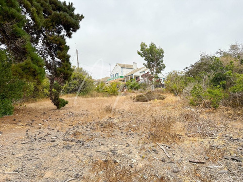 Imagen 6 de 18 de Oportunidad Inversión Venta Casa Algarrobo Con Vista Al Mar