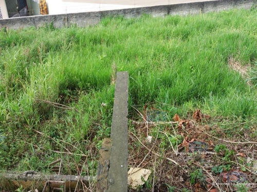 Imagem 3 de 4 de Ref.: 2781 - Terrenos Em Osasco Para Venda - V2781