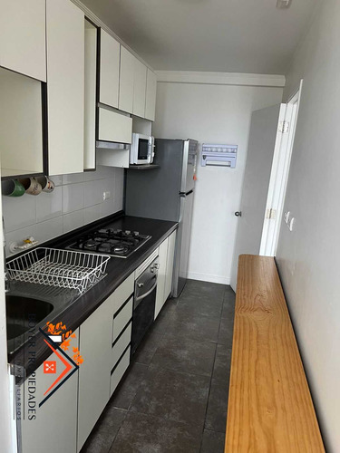 Boyer Vende Depto Semi Amoblado (75281)