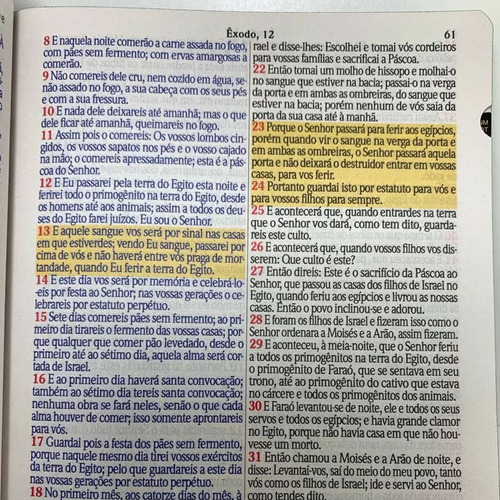 Bíblia Sagrada Letra Jumbo Com Harpa E Corinhos Índice Lateral Capa Leão Rei