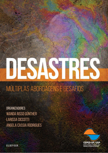 Desastres - Múltiplas Abordagens E Desafios