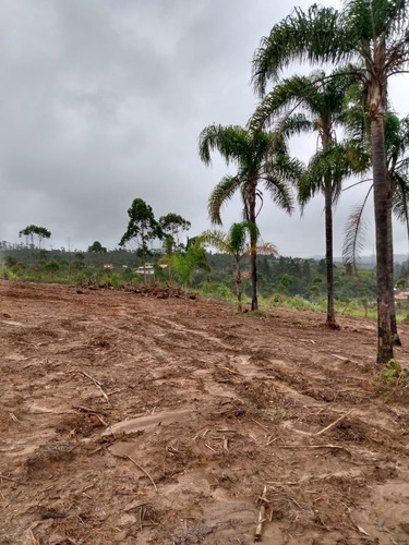 Imagem 2 de 30 de 01- Terrenos Com Aguá E Demarcados Com Moradores Já Construindo No Local !