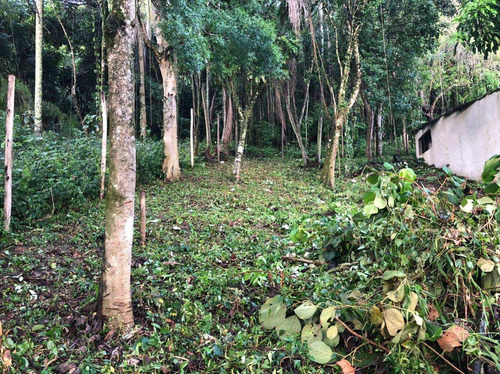 Imagem 2 de 8 de Terreno, Itaim Mirim, Santana De Parnaíba - R$ 100 Mil, Cod: 235506 - V235506