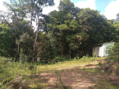 Imagem 7 de 15 de Chacara - Tres Corregos - Ref: 2292 - V-2292