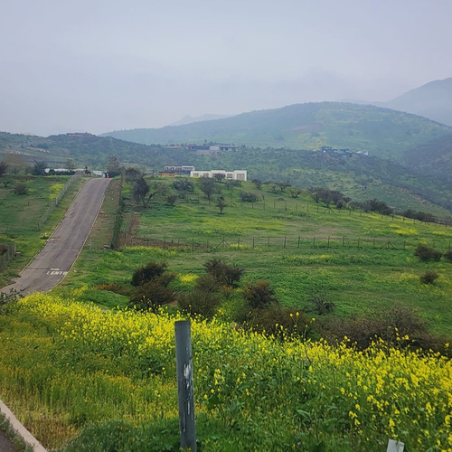 Vende Terreno En Hacienda Chacabuco Oportunidad S/comisión