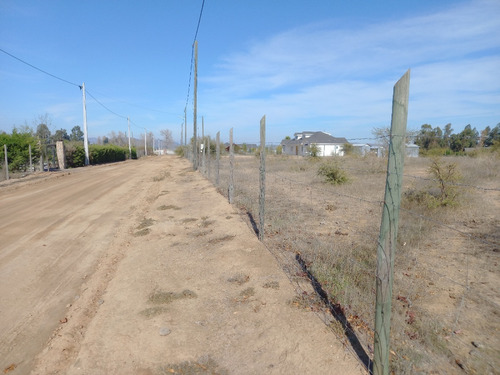 Imagen 4 de 6 de Parcela De 5.000m2, Urbanizada Con Accesos Al Lago.
