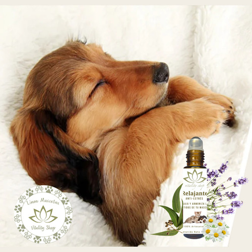 Roll On Relajante Anti Estrés Perro Gato Mascotas 10 Ml