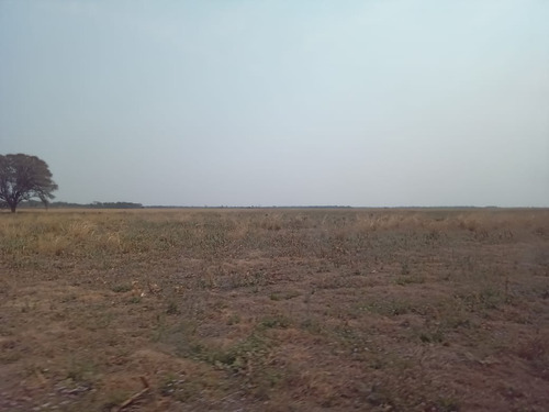 Campo En Quimili - Departamento De Moreno Santiago Del Estero - Argentina