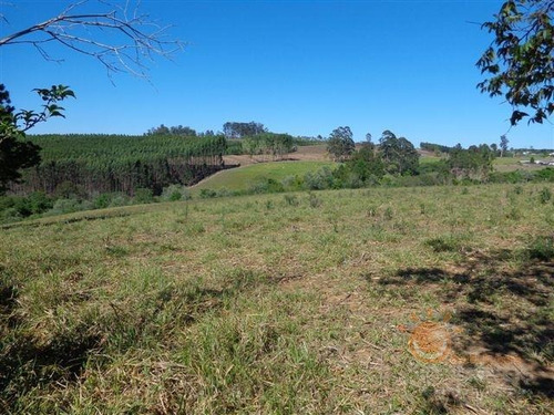Imagem 12 de 16 de Venda - Sítio Da Ilha / Pilar Do Sul/sp - 4360