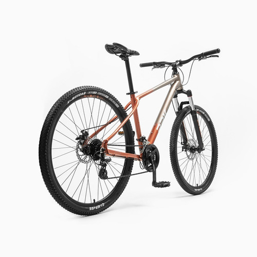 Mountain Bike Andrómeda R29 24v