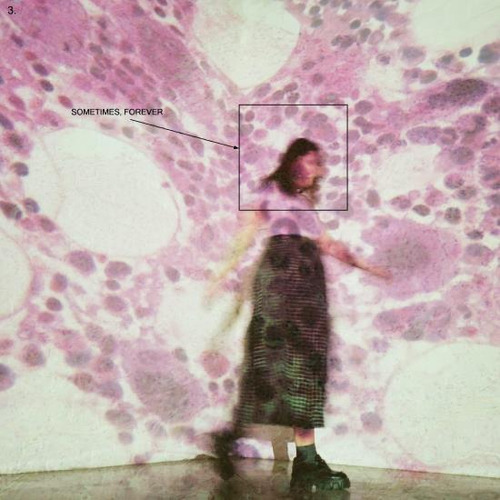 Soccer Mommy Sometimes Forever Usa Import Cd