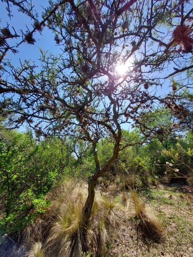 Imagen 6 de 10 de Venta De Terrenos En Las Chacras Villa De Las Rosas Traslasierra Cordoba