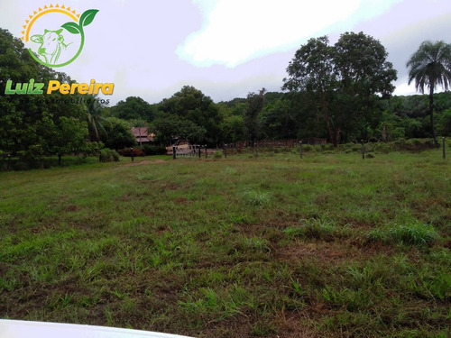 Imagem 1 de 15 de Fazenda À Venda Em Formoso Do Araguaia-to - 1.771 Hectares (dupla Aptidão) - 1618