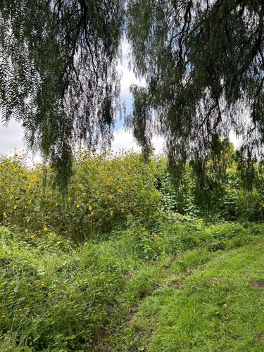 Terreno En Venta Texcoco San Luis Huexotla