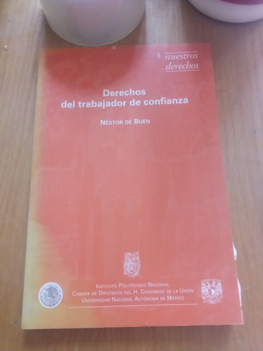 Derechos Del Trabajador - Néstor De Buen