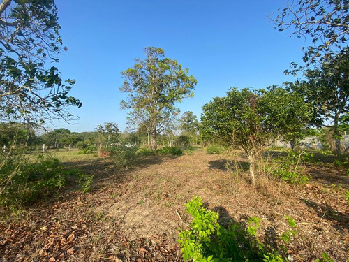 Venta Terreno 3000 M² Juana Moza Frente Al Rio Tuxpan Veracruz