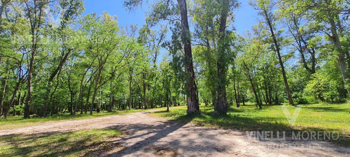 20 Hectareas En Ezeiza Ideal Emprendimiento